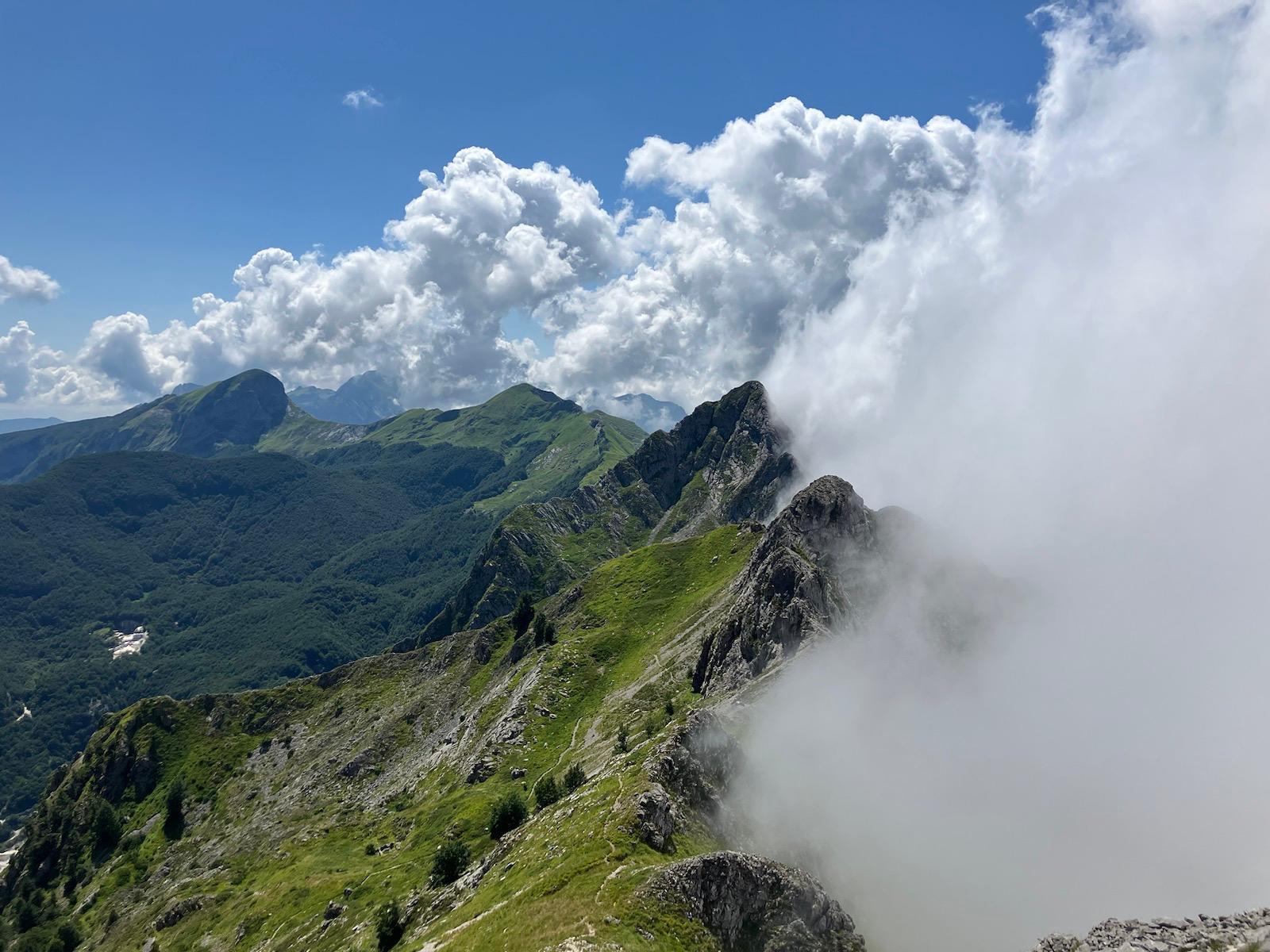 Vista 2